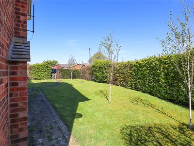Picture 28